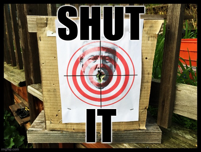 Shut it or shoot it | SHUT IT | image tagged in shut it or shoot it | made w/ Imgflip meme maker