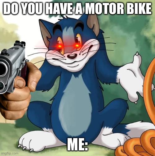 Tom and Jerry - Tom Who Knows HD | DO YOU HAVE A MOTOR BIKE; ME: | image tagged in tom and jerry - tom who knows hd | made w/ Imgflip meme maker