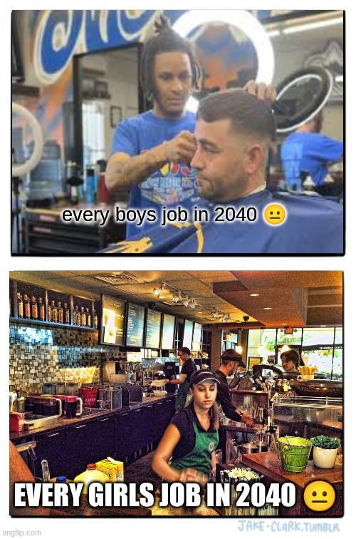 This worlds turning into a stupid place | every boys job in 2040 😐; EVERY GIRLS JOB IN 2040 😐 | image tagged in fun | made w/ Imgflip meme maker
