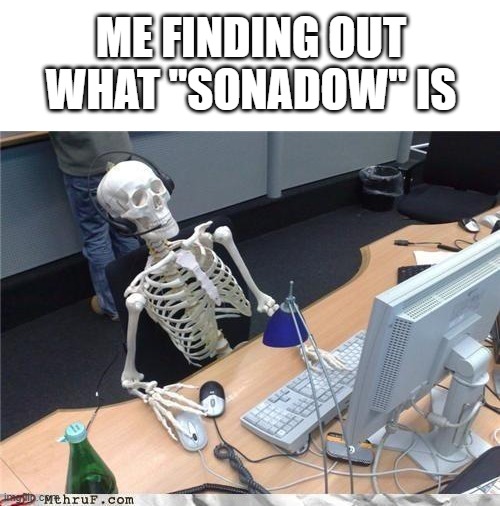 oof | ME FINDING OUT WHAT "SONADOW" IS | image tagged in waiting skeleton | made w/ Imgflip meme maker