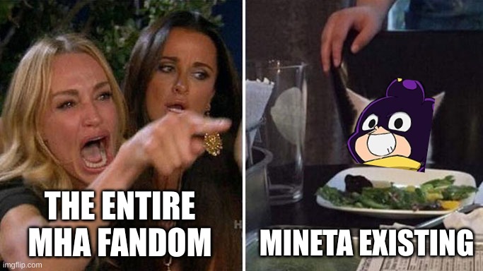 mineta gets too much hate | THE ENTIRE MHA FANDOM; MINETA EXISTING | image tagged in angry lady cat | made w/ Imgflip meme maker