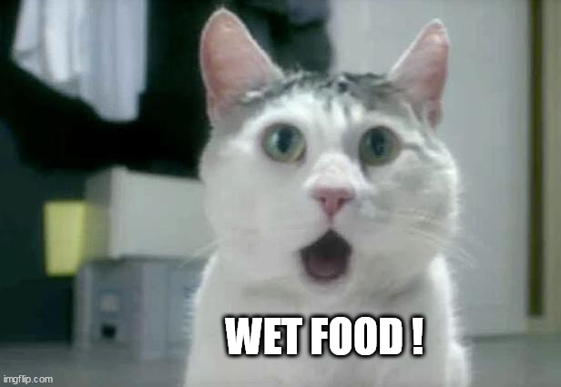 OMG Cat Meme | WET FOOD ! | image tagged in memes,omg cat | made w/ Imgflip meme maker
