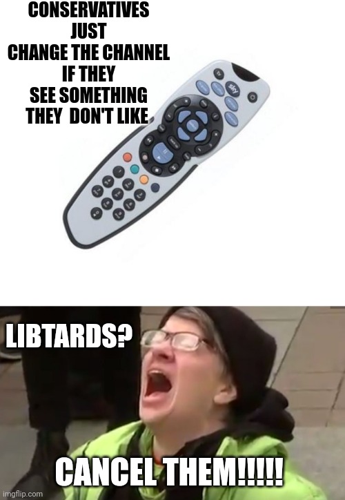 CONSERVATIVES JUST CHANGE THE CHANNEL IF THEY SEE SOMETHING THEY  DON'T LIKE; LIBTARDS? CANCEL THEM!!!!! | image tagged in remote control,screaming liberal | made w/ Imgflip meme maker
