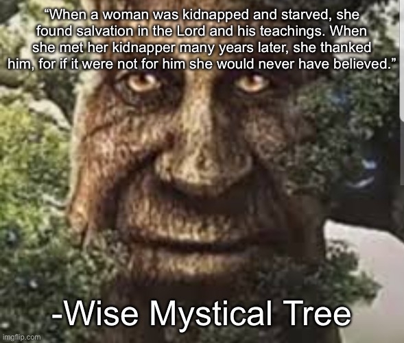Wise mystical tree | “When a woman was kidnapped and starved, she found salvation in the Lord and his teachings. When she met her kidnapper many years later, she thanked him, for if it were not for him she would never have believed.”; -Wise Mystical Tree | image tagged in wise mystical tree | made w/ Imgflip meme maker