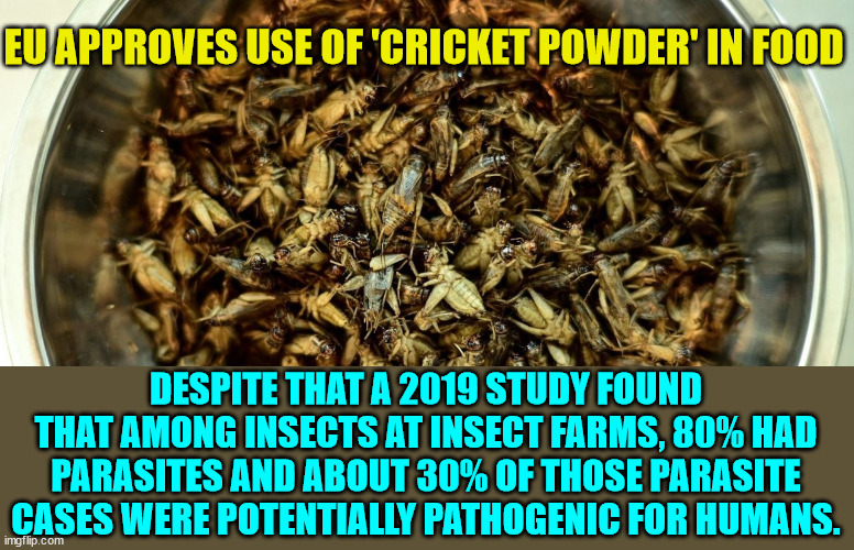 Keep voting for liberal policies... this is what is in store for you... | EU APPROVES USE OF 'CRICKET POWDER' IN FOOD; DESPITE THAT A 2019 STUDY FOUND THAT AMONG INSECTS AT INSECT FARMS, 80% HAD PARASITES AND ABOUT 30% OF THOSE PARASITE CASES WERE POTENTIALLY PATHOGENIC FOR HUMANS. | image tagged in bugs,food | made w/ Imgflip meme maker