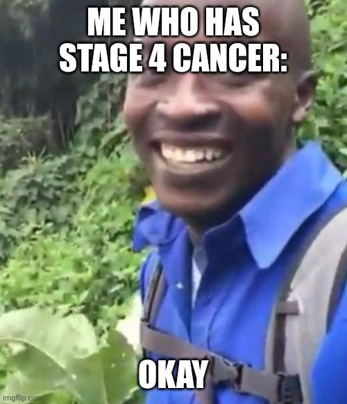 Okay  | ME WHO HAS STAGE 4 CANCER: OKAY | image tagged in okay | made w/ Imgflip meme maker