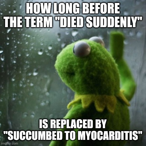 E..vax..uated | HOW LONG BEFORE THE TERM "DIED SUDDENLY"; IS REPLACED BY "SUCCUMBED TO MYOCARDITIS" | image tagged in sometimes i wonder | made w/ Imgflip meme maker