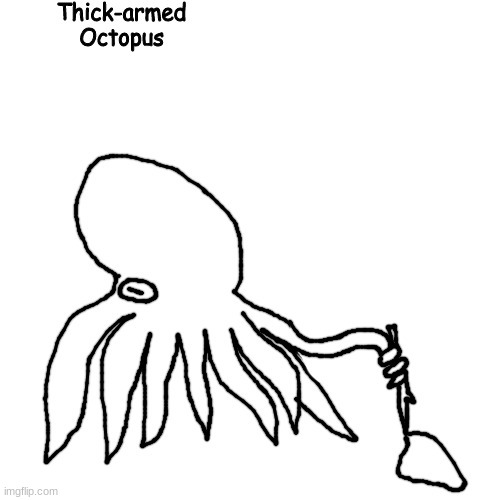 Thick-armed Octopus | image tagged in thick-armed octopus | made w/ Imgflip meme maker