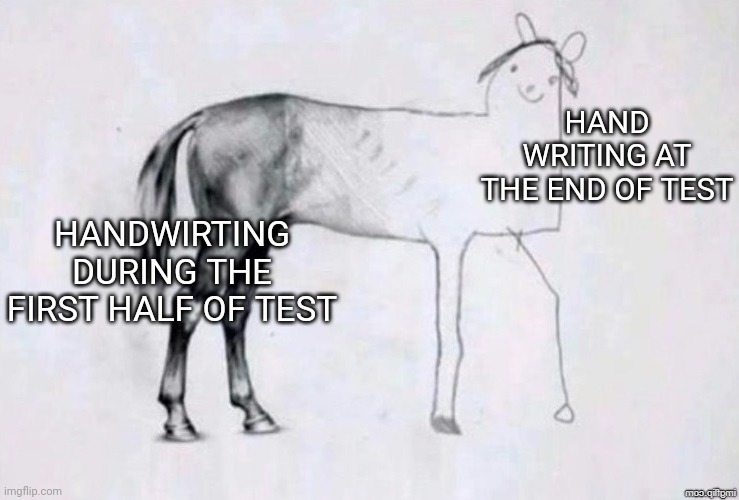Everyone knows it's true | HAND WRITING AT THE END OF TEST; HANDWIRTING DURING THE FIRST HALF OF TEST | image tagged in horse drawing,school | made w/ Imgflip meme maker