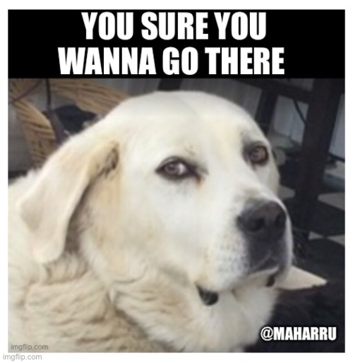 you sure you wanna go there | made w/ Imgflip meme maker