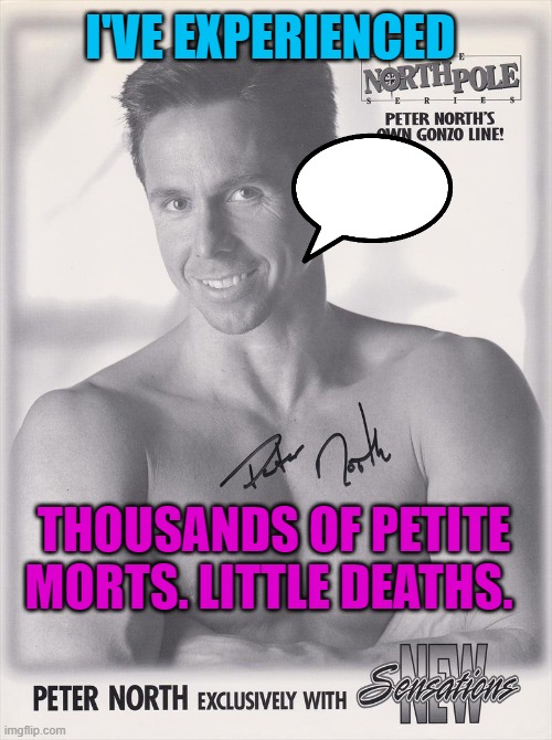 I've experienced Thousands of petite morts. Little deaths. | I'VE EXPERIENCED; THOUSANDS OF PETITE MORTS. LITTLE DEATHS. | image tagged in peter north | made w/ Imgflip meme maker