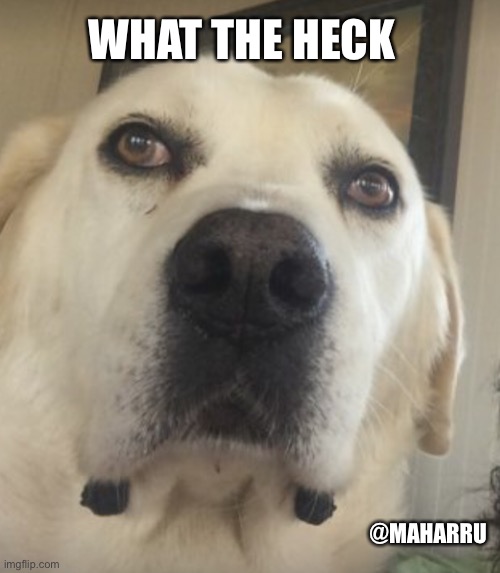 Boomer surprised | WHAT THE HECK; @MAHARRU | image tagged in boomer | made w/ Imgflip meme maker