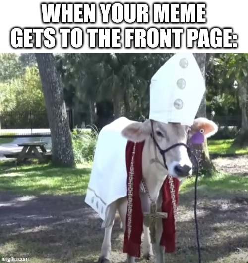 Holy cow | WHEN YOUR MEME GETS TO THE FRONT PAGE: | image tagged in holy cow,why are you reading the tags | made w/ Imgflip meme maker