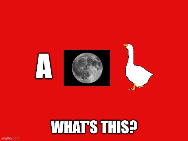Bit sus | A; WHAT'S THIS? | image tagged in sus,among us,amogus | made w/ Imgflip meme maker