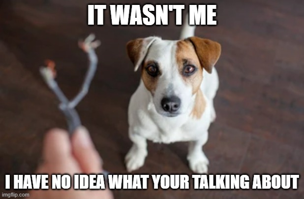 It Wasn't Me | IT WASN'T ME; I HAVE NO IDEA WHAT YOUR TALKING ABOUT | image tagged in it wasn't me,i have no idea,why are looking at me | made w/ Imgflip meme maker