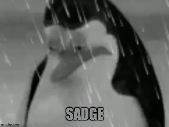 Sadge | SADGE | image tagged in sadge | made w/ Imgflip meme maker