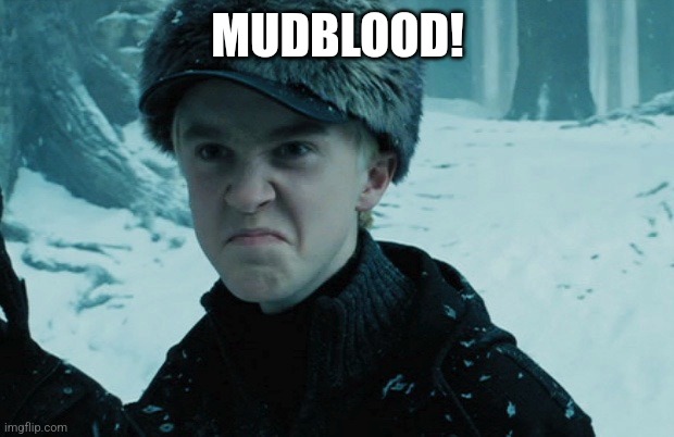 Draco Malfoy | MUDBLOOD! | image tagged in draco malfoy | made w/ Imgflip meme maker