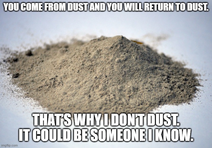 pile of dust | YOU COME FROM DUST AND YOU WILL RETURN TO DUST. THAT’S WHY I DON’T DUST. IT COULD BE SOMEONE I KNOW. | image tagged in pile of dust | made w/ Imgflip meme maker