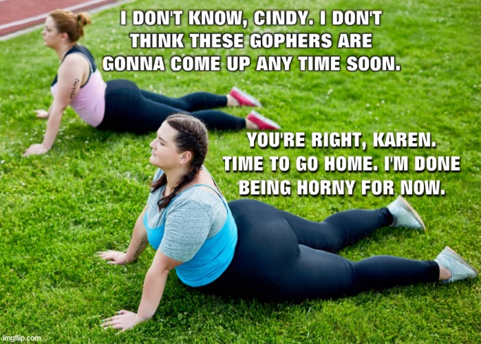 image tagged in karen,cindy,gopher,holes,horny,women | made w/ Imgflip meme maker