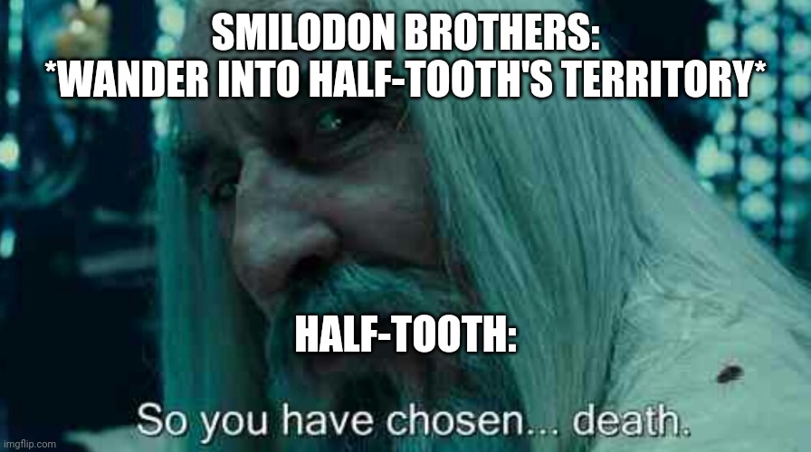 Had to make this after rewatching the Smilodon episode of Walking With Beasts |  SMILODON BROTHERS:
*WANDER INTO HALF-TOOTH'S TERRITORY*; HALF-TOOTH: | image tagged in so you have chosen death | made w/ Imgflip meme maker