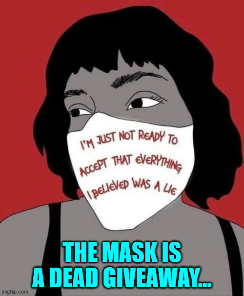 Your first clue is the mask...  they believe everything their misleadia tells them... | THE MASK IS A DEAD GIVEAWAY... | image tagged in stupid people | made w/ Imgflip meme maker