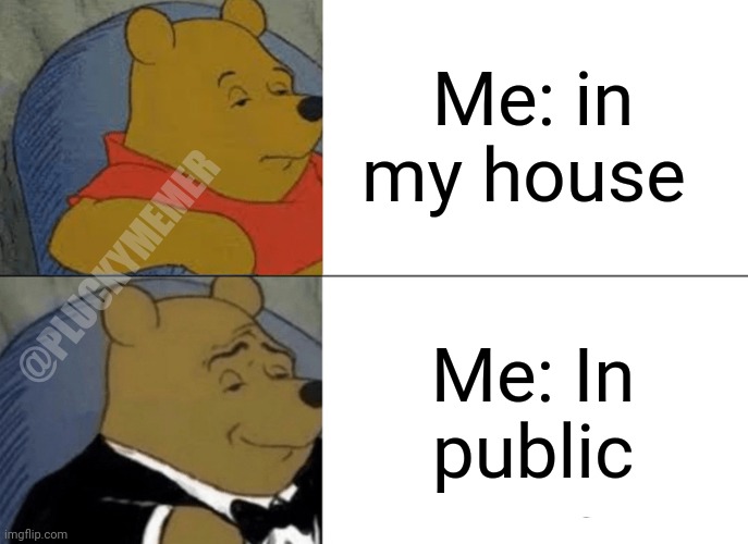 me in my house vs me in public | Me: in my house; @PLUCKYMEMER; Me: In  public | image tagged in memes,tuxedo winnie the pooh | made w/ Imgflip meme maker