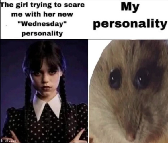 The girl trying to scare me with her new Wednesday personality | image tagged in the girl trying to scare me with her new wednesday personality | made w/ Imgflip meme maker