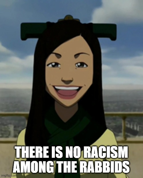 There is no war in ba sing se | THERE IS NO RACISM AMONG THE RABBIDS | image tagged in there is no war in ba sing se | made w/ Imgflip meme maker