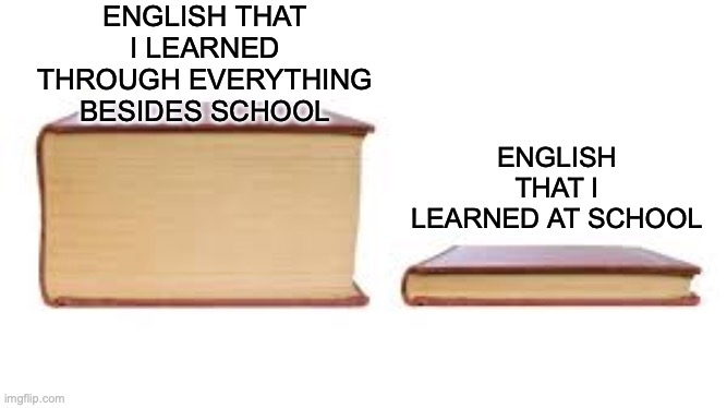 my journey of learning english wasn't easy... | ENGLISH THAT I LEARNED THROUGH EVERYTHING BESIDES SCHOOL; ENGLISH THAT I LEARNED AT SCHOOL | image tagged in big book small book,english,relatable,true story,learning | made w/ Imgflip meme maker
