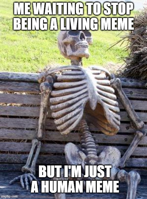 I'm just a human meme | ME WAITING TO STOP BEING A LIVING MEME; BUT I'M JUST A HUMAN MEME | image tagged in memes,waiting skeleton | made w/ Imgflip meme maker