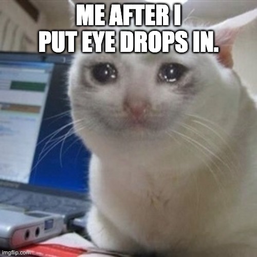 Crying cat | ME AFTER I PUT EYE DROPS IN. | image tagged in crying cat | made w/ Imgflip meme maker