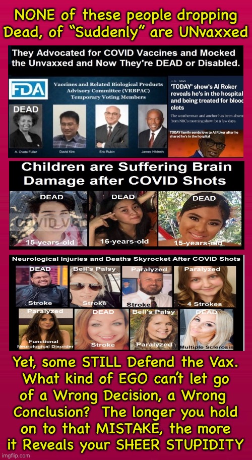 What did they die of?   Died of Suddenly | NONE of these people dropping
Dead, of “Suddenly” are UNvaxxed; Yet, some STILL Defend the Vax.
What kind of EGO can’t let go
of a Wrong Decision, a Wrong 
Conclusion?  The longer you hold
on to that MISTAKE, the more
it Reveals your SHEER STUPIDITY | image tagged in memes,vax,huge ego what else,let go of that failed premise,what was a mistake is now arrogance,fjb voters | made w/ Imgflip meme maker