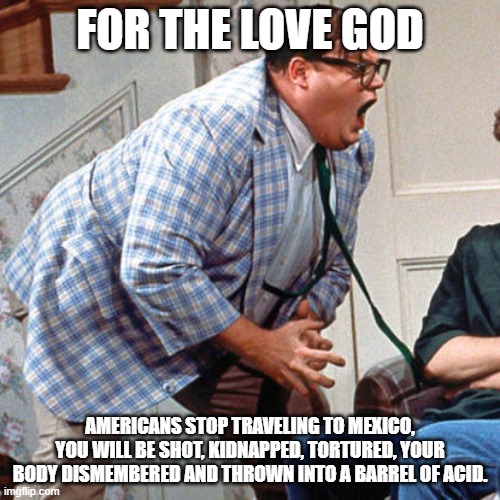 Stop Going if you value your Life. |  FOR THE LOVE GOD; AMERICANS STOP TRAVELING TO MEXICO, YOU WILL BE SHOT, KIDNAPPED, TORTURED, YOUR BODY DISMEMBERED AND THROWN INTO A BARREL OF ACID. | image tagged in chris farley for the love of god,mexico,death,americans,drugs,vacation | made w/ Imgflip meme maker