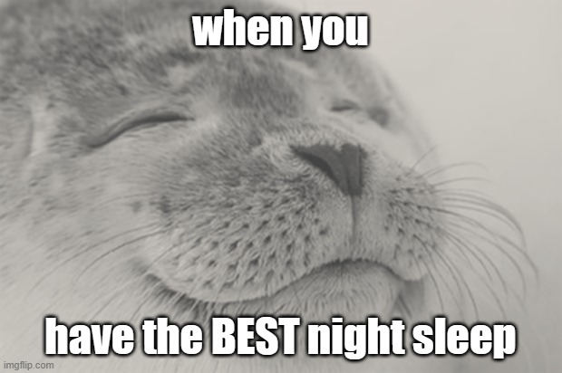 Satisfied Seal Meme | when you; have the BEST night sleep | image tagged in memes,satisfied seal | made w/ Imgflip meme maker