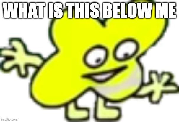 what is this below me | WHAT IS THIS BELOW ME | image tagged in bfb,bfdi,tpot | made w/ Imgflip meme maker