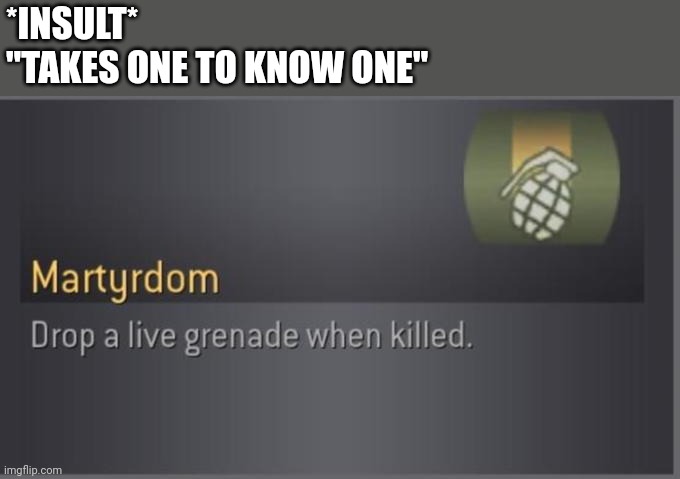 Martyrdom | *INSULT*
"TAKES ONE TO KNOW ONE" | image tagged in martyrdom | made w/ Imgflip meme maker