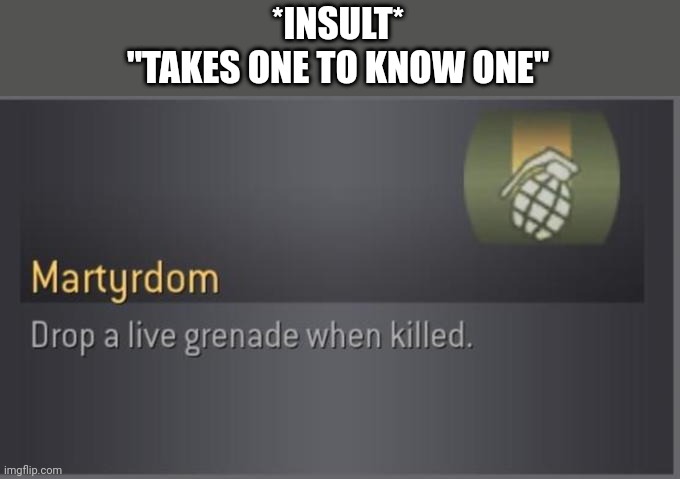 Martyrdom | *INSULT*
"TAKES ONE TO KNOW ONE" | image tagged in martyrdom | made w/ Imgflip meme maker