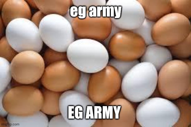 eg army | eg army; EG ARMY | image tagged in eggs,eg | made w/ Imgflip meme maker