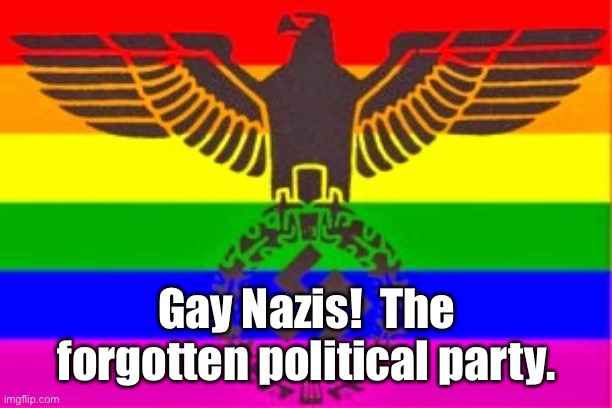 Nazi Rainbow Flag, Gay Nazis, Pink Swastika, Ernst Rohm, Walther | Gay Nazis!  The forgotten political party. | image tagged in nazi rainbow flag gay nazis pink swastika ernst rohm walther | made w/ Imgflip meme maker