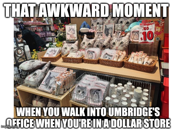 Umbridge's office | THAT AWKWARD MOMENT; WHEN YOU WALK INTO UMBRIDGE'S OFFICE WHEN YOU'RE IN A DOLLAR STORE | image tagged in memes,funny memes,harry potter,funny | made w/ Imgflip meme maker