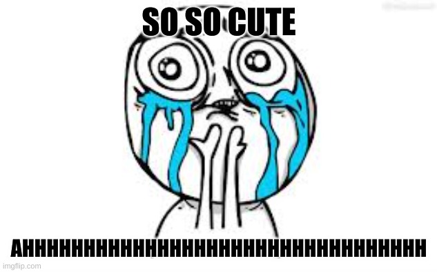 Crying Because Of Cute Meme | SO SO CUTE AHHHHHHHHHHHHHHHHHHHHHHHHHHHHHHHHH | image tagged in memes,crying because of cute | made w/ Imgflip meme maker