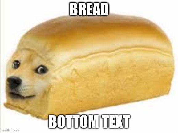 Doge bread | BREAD; BOTTOM TEXT | image tagged in doge bread | made w/ Imgflip meme maker