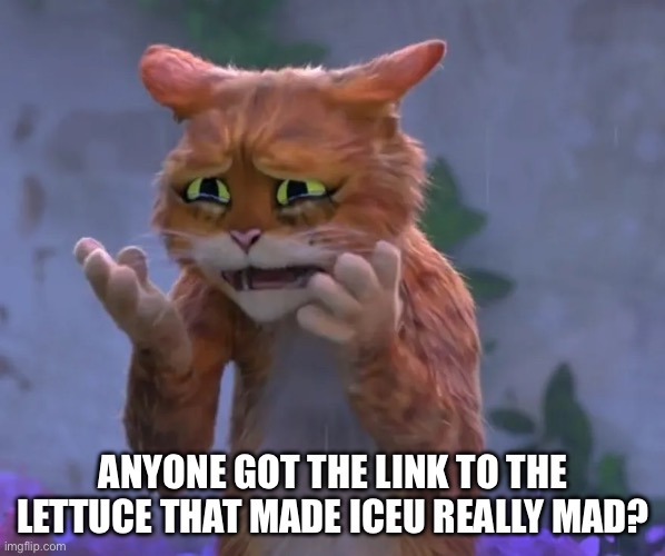 Cry about it | ANYONE GOT THE LINK TO THE LETTUCE THAT MADE ICEU REALLY MAD? | image tagged in cry about it | made w/ Imgflip meme maker