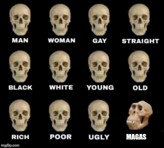 trumpers | MAGAS | image tagged in idiot skull | made w/ Imgflip meme maker