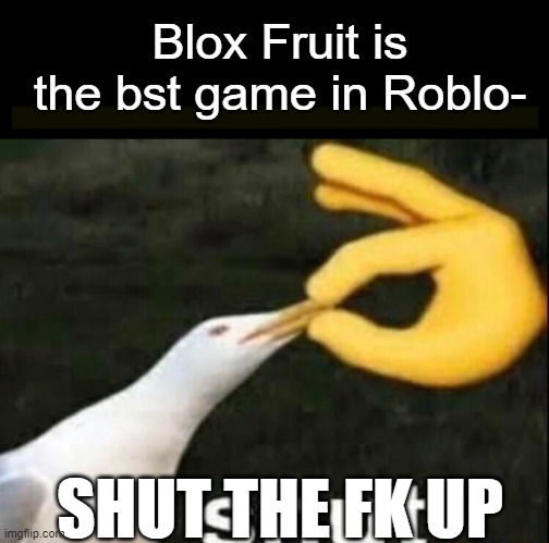 no | Blox Fruit is the bst game in Roblo-; SHUT THE FK UP | image tagged in shut | made w/ Imgflip meme maker