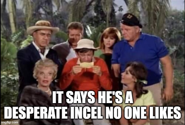 Gilligan says | IT SAYS HE'S A DESPERATE INCEL NO ONE LIKES | image tagged in gilligan says | made w/ Imgflip meme maker