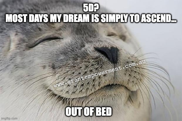Ascending Seal | 5D?
MOST DAYS MY DREAM IS SIMPLY TO ASCEND... www.grantempowerment.com.au; OUT OF BED | image tagged in memes,satisfied seal,ascension | made w/ Imgflip meme maker