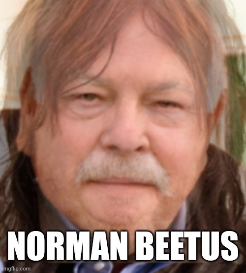 Norman Beetus | NORMAN BEETUS | image tagged in diabeetus | made w/ Imgflip meme maker