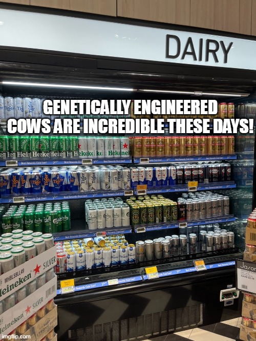 GENETICALLY ENGINEERED COWS ARE INCREDIBLE THESE DAYS! | image tagged in meme,memes,signs,you had one job,funny,humor | made w/ Imgflip meme maker