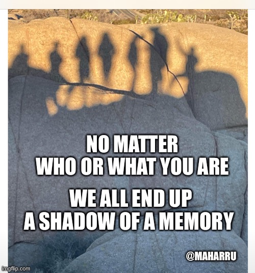 We all are shadows | NO MATTER 
WHO OR WHAT YOU ARE; WE ALL END UP A SHADOW OF A MEMORY; @MAHARRU | image tagged in reflection | made w/ Imgflip meme maker